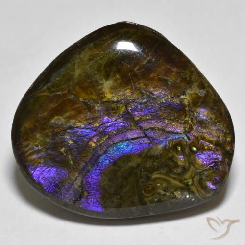 20.55ct Natural Multicolor Ammolite, Fancy, Opaque