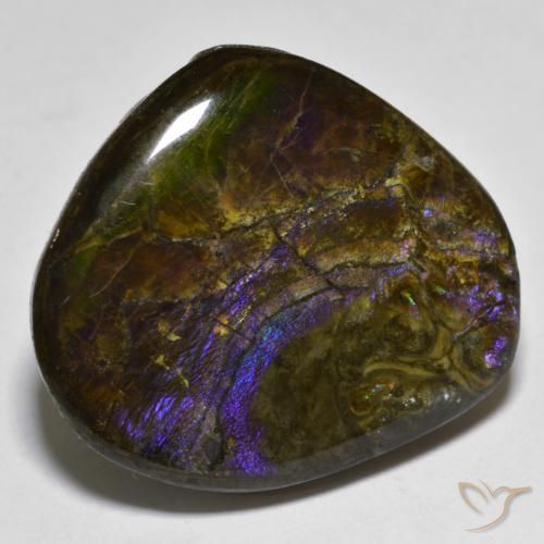 20.55 ct Multicolor Ammolite Stone, Natural Ammolite in Fancy Cabochon Shape for Sale