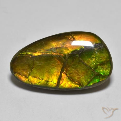 12.63 ct Multicolor Ammolite Stone, Natural Ammolite in Fancy Cabochon Shape for Sale
