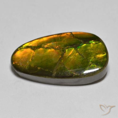 Ammolite Gemstone in 22.6 x 12.9 mm Size for Sale, Ammolite Stone in Multicolor Color