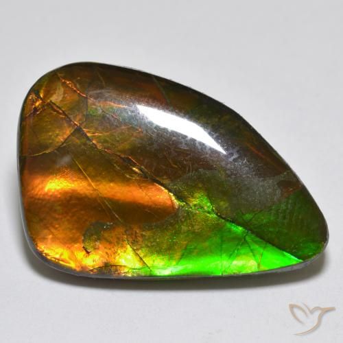 12.25ct Natural Multicolor Ammolite, Fancy, Opaque