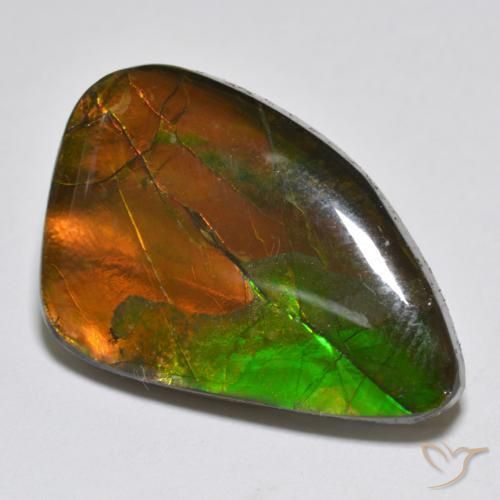 12.25 ct Multicolor Ammolite Stone, Natural Ammolite in Fancy Cabochon Shape for Sale