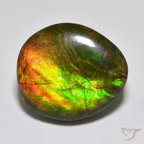 13.34ct Natural Multicolor Ammolite, Fancy, Opaque