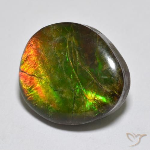 13.34 ct Multicolor Ammolite Stone, Natural Ammolite in Fancy Cabochon Shape for Sale