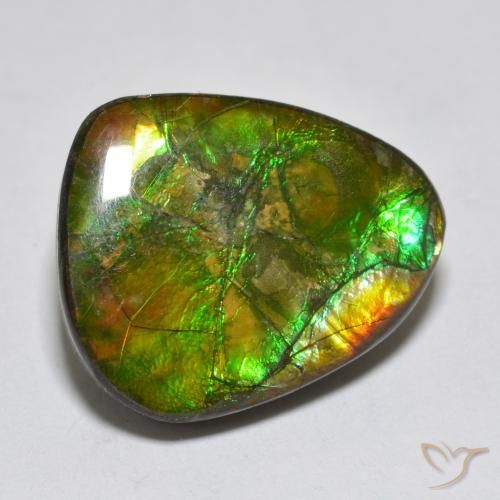 14.92ct Natural Multicolor Ammolite, Fancy, Opaque