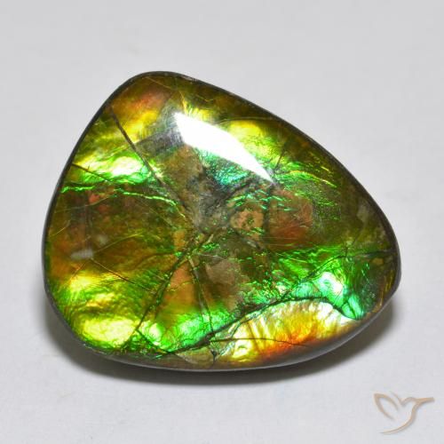 14.92 ct Multicolor Ammolite Stone, Natural Ammolite in Fancy Cabochon Shape for Sale