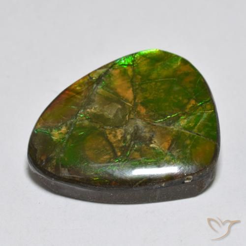 Ammolite Gemstone in 20.4 x 16.9 mm Size for Sale, Ammolite Stone in Multicolor Color