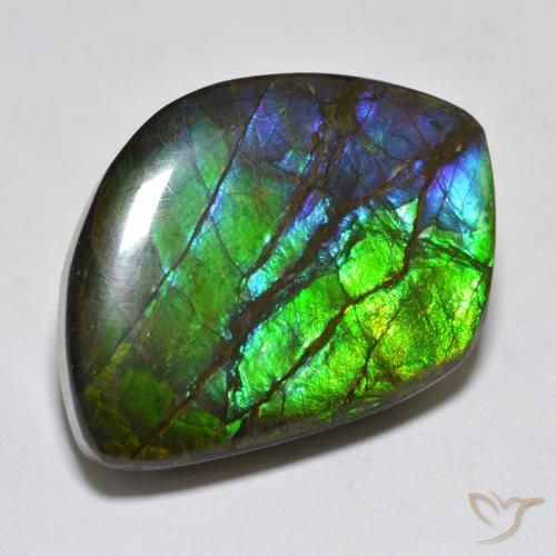 17.95 ct Multicolor Ammolite Stone, Natural Ammolite in Fancy Cabochon Shape for Sale