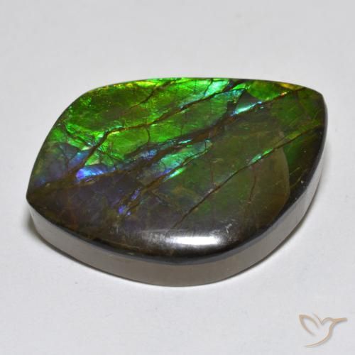 Ammolite Gemstone in 23.9 x 16.7 mm Size for Sale, Ammolite Stone in Multicolor Color