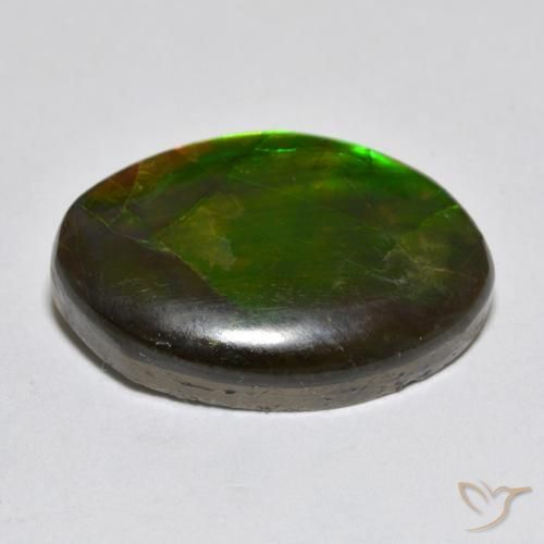 Ammolite Gemstone in 20.7 x 14.3 mm Size for Sale, Ammolite Stone in Multicolor Color