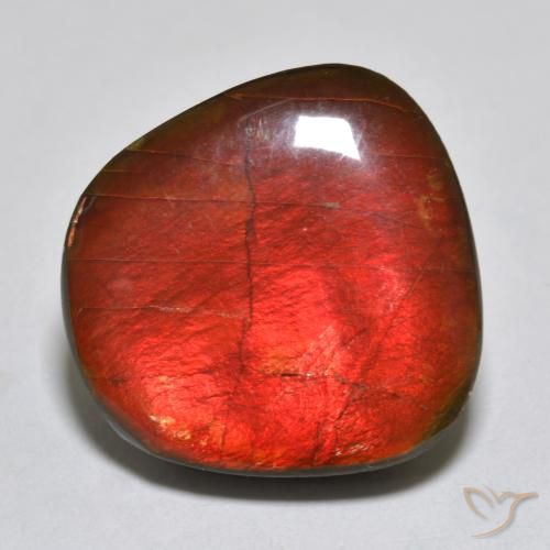 15.39ct Natural Multicolor Ammolite, Fancy, Opaque