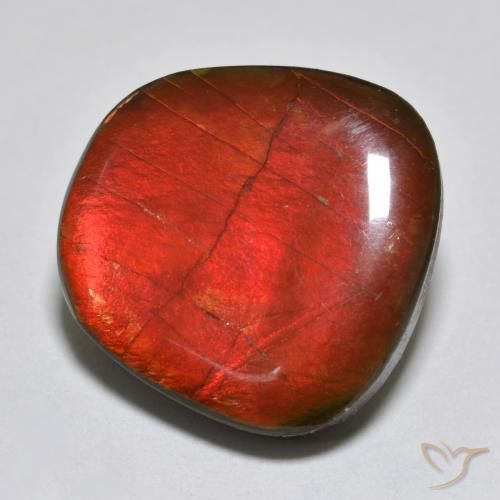 15.39 ct Multicolor Ammolite Stone, Natural Ammolite in Fancy Cabochon Shape for Sale