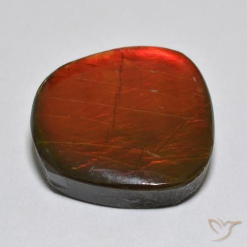 Ammolite Gemstone in 17.9 x 17.5 mm Size for Sale, Ammolite Stone in Multicolor Color