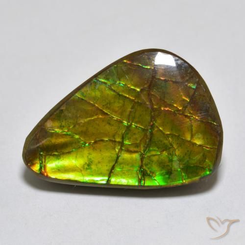 11.13ct Natural Multicolor Ammolite, Fancy, Opaque