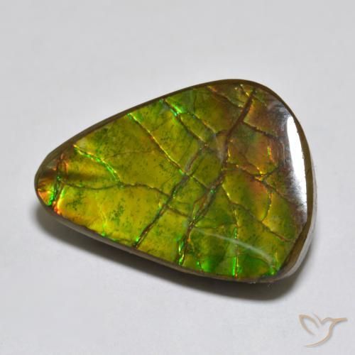 11.13 ct Multicolor Ammolite Stone, Natural Ammolite in Fancy Cabochon Shape for Sale