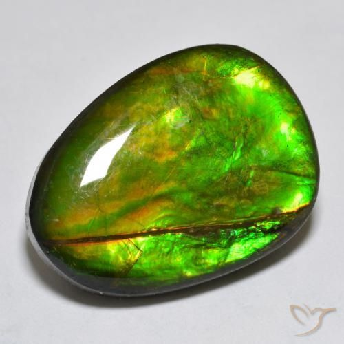 18.76ct Natural Multicolor Ammolite, Fancy, Opaque