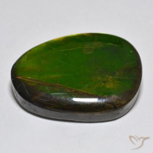 Ammolite Gemstone in 23 x 17.1 mm Size for Sale, Ammolite Stone in Multicolor Color