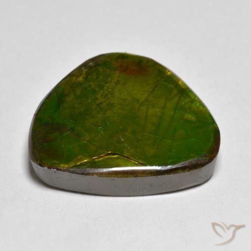 Ammolite Gemstone in 18.2 x 14.8 mm Size for Sale, Ammolite Stone in Multicolor Color