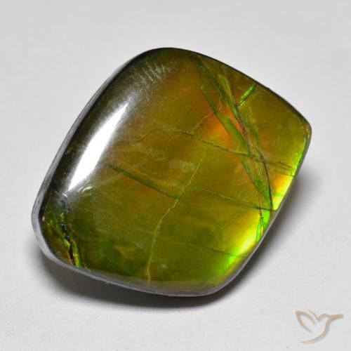 19.04 ct Multicolor Ammolite Stone, Natural Ammolite in Fancy Cabochon Shape for Sale