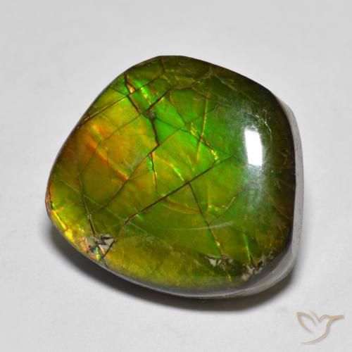 11.20ct Natural Multicolor Ammolite, Fancy, Opaque