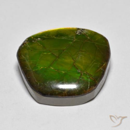 Ammolite Gemstone in 17.4 x 15.4 mm Size for Sale, Ammolite Stone in Multicolor Color