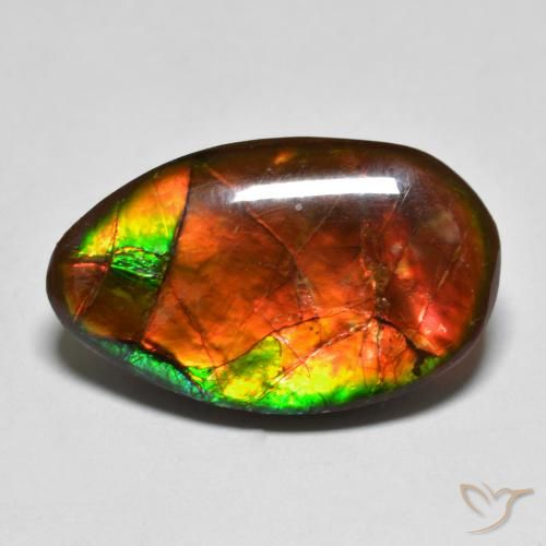 13.17 ct Multicolor Ammolite Stone, Natural Ammolite in Fancy Cabochon Shape for Sale