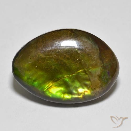 11.56ct Natural Multicolor Ammolite, Fancy, Opaque
