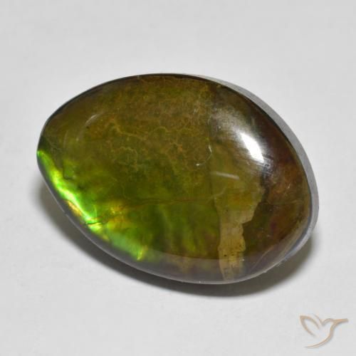 11.56 ct Multicolor Ammolite Stone, Natural Ammolite in Fancy Cabochon Shape for Sale