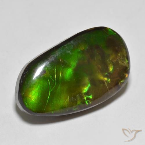 13.25 ct Multicolor Ammolite Stone, Natural Ammolite in Fancy Cabochon Shape for Sale
