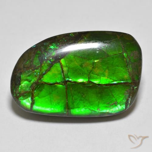 16.43ct Natural Multicolor Ammolite, Fancy, Opaque