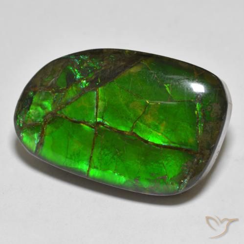16.43 ct Multicolor Ammolite Stone, Natural Ammolite in Fancy Cabochon Shape for Sale