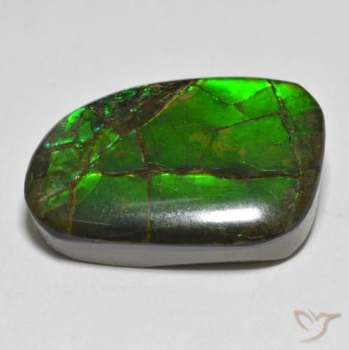 Ammolite Gemstone in 22.8 x 14.7 mm Size for Sale, Ammolite Stone in Multicolor Color