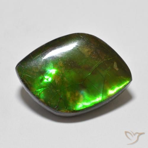 10.24 ct Fancy Ammolite, 20.4 x 14.3 mm From Canada, Photo A