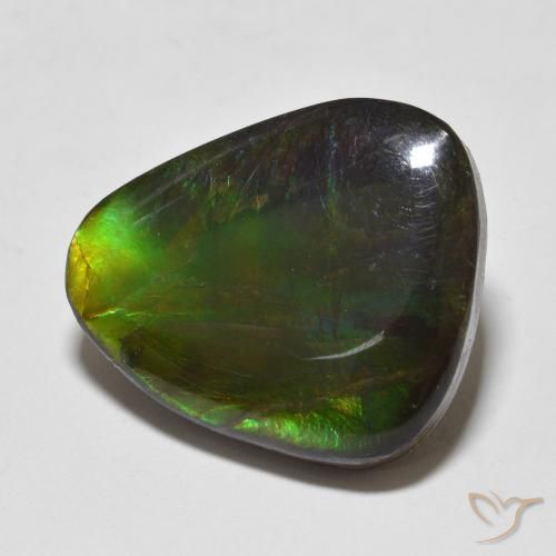 12.93 ct Multicolor Ammolite Stone, Natural Ammolite in Fancy Cabochon Shape for Sale