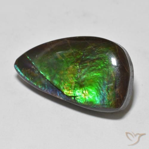11.99ct Natural Multicolor Ammolite, Fancy, Opaque