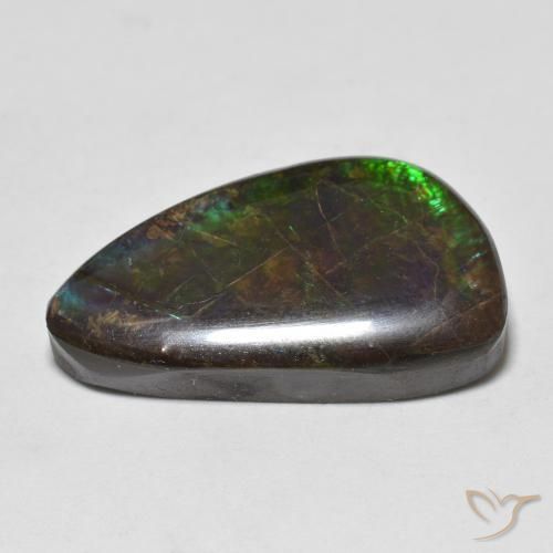 Ammolite Gemstone in 22.3 x 12.8 mm Size for Sale, Ammolite Stone in Multicolor Color