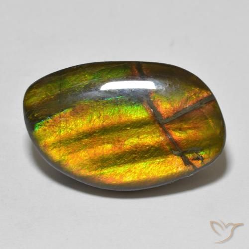 11.86ct Natural Multicolor Ammolite, Fancy, Opaque