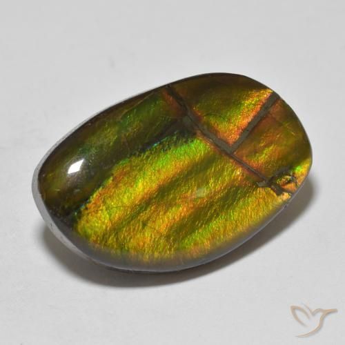 11.86 ct Multicolor Ammolite Stone, Natural Ammolite in Fancy Cabochon Shape for Sale