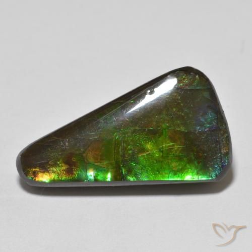 13.74ct Natural Multicolor Ammolite, Fancy, Opaque