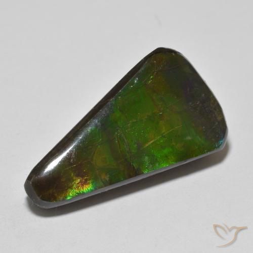 13.74 ct Multicolor Ammolite Stone, Natural Ammolite in Fancy Cabochon Shape for Sale