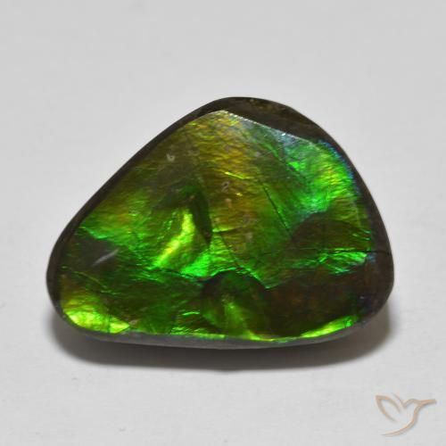 13.90ct Natural Multicolor Ammolite, Fancy, Opaque