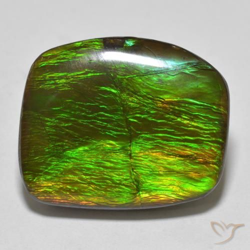 18.23ct Natural Multicolor Ammolite, Fancy, Opaque