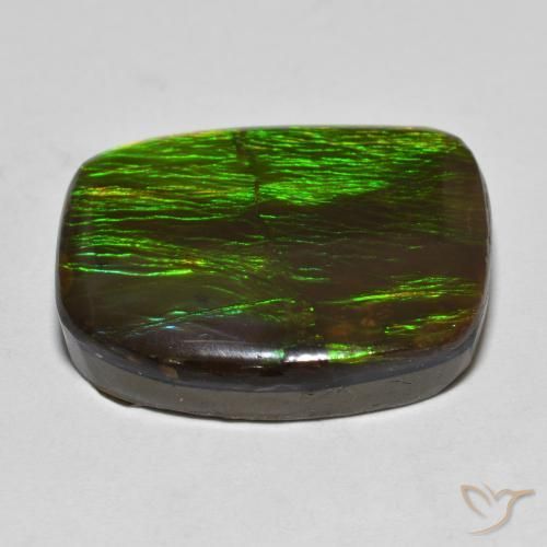 Ammolite Gemstone in 20.9 x 17.3 mm Size for Sale, Ammolite Stone in Multicolor Color