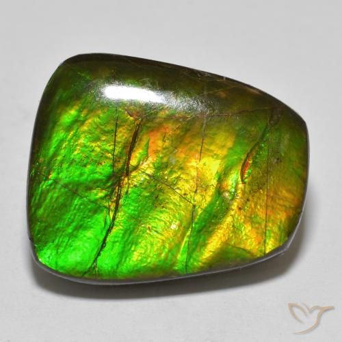 15.03ct Natural Multicolor Ammolite, Fancy, Opaque