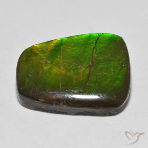Ammolite Gemstone in 20.5 x 17 mm Size for Sale, Ammolite Stone in Multicolor Color