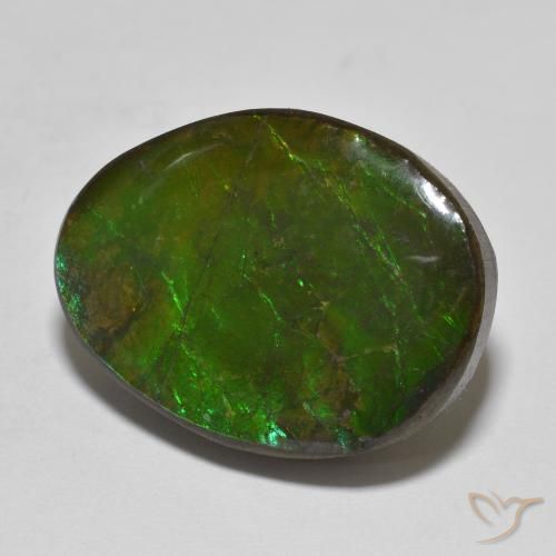 16.14 ct Multicolor Ammolite Stone, Natural Ammolite in Fancy Cabochon Shape for Sale