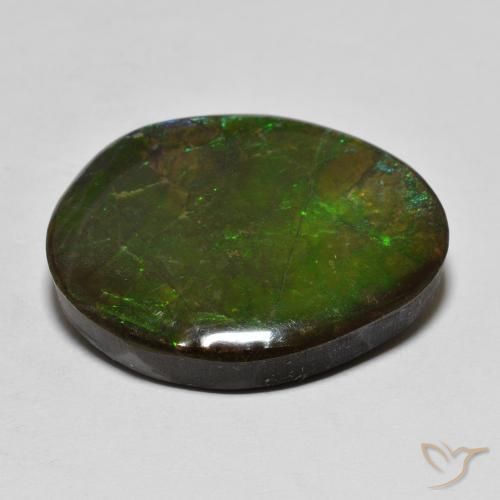 Ammolite Gemstone in 21.7 x 16.3 mm Size for Sale, Ammolite Stone in Multicolor Color