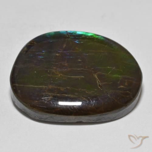 Ammolite Gemstone in 23.4 x 18.3 mm Size for Sale, Ammolite Stone in Multicolor Color