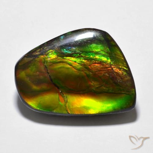 16.94ct Natural Multicolor Ammolite, Fancy, Opaque