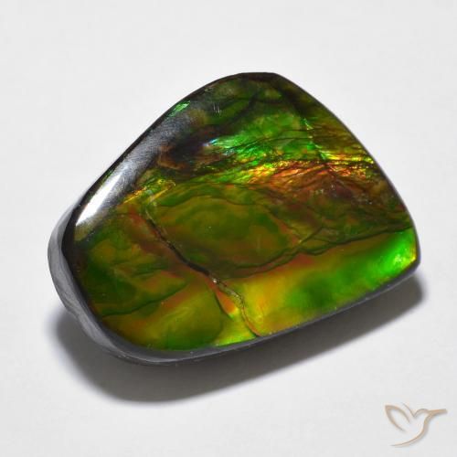 16.94 ct Multicolor Ammolite Stone, Natural Ammolite in Fancy Cabochon Shape for Sale